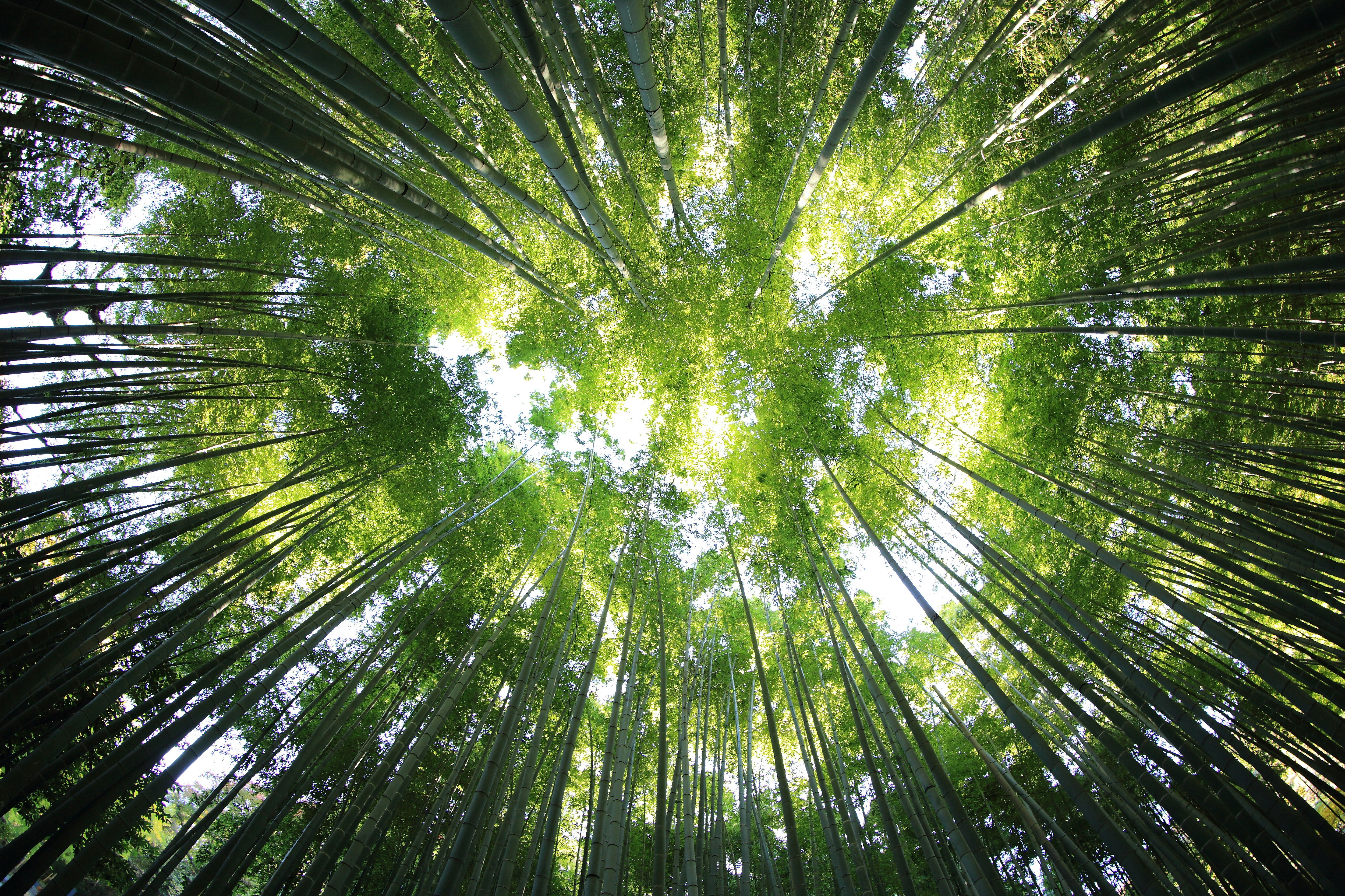 Kazuend 19Sc2oavzw0 Unsplash